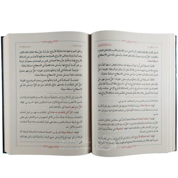حاشية العلامة الأجهوري على شرح الإمام السنوسي على مختصره في علم المنطق – Image 3