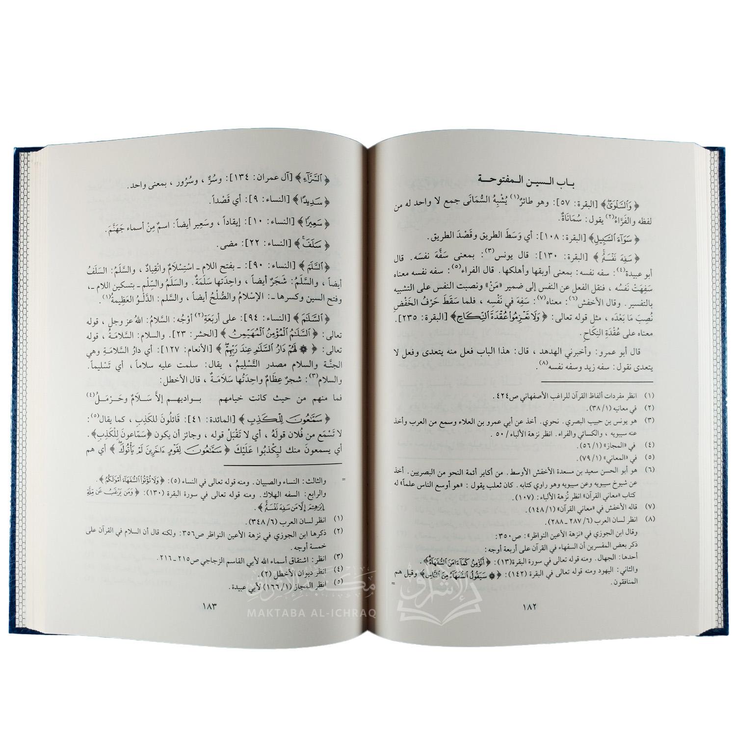 تفسير غريب القرآن - الصورة 2