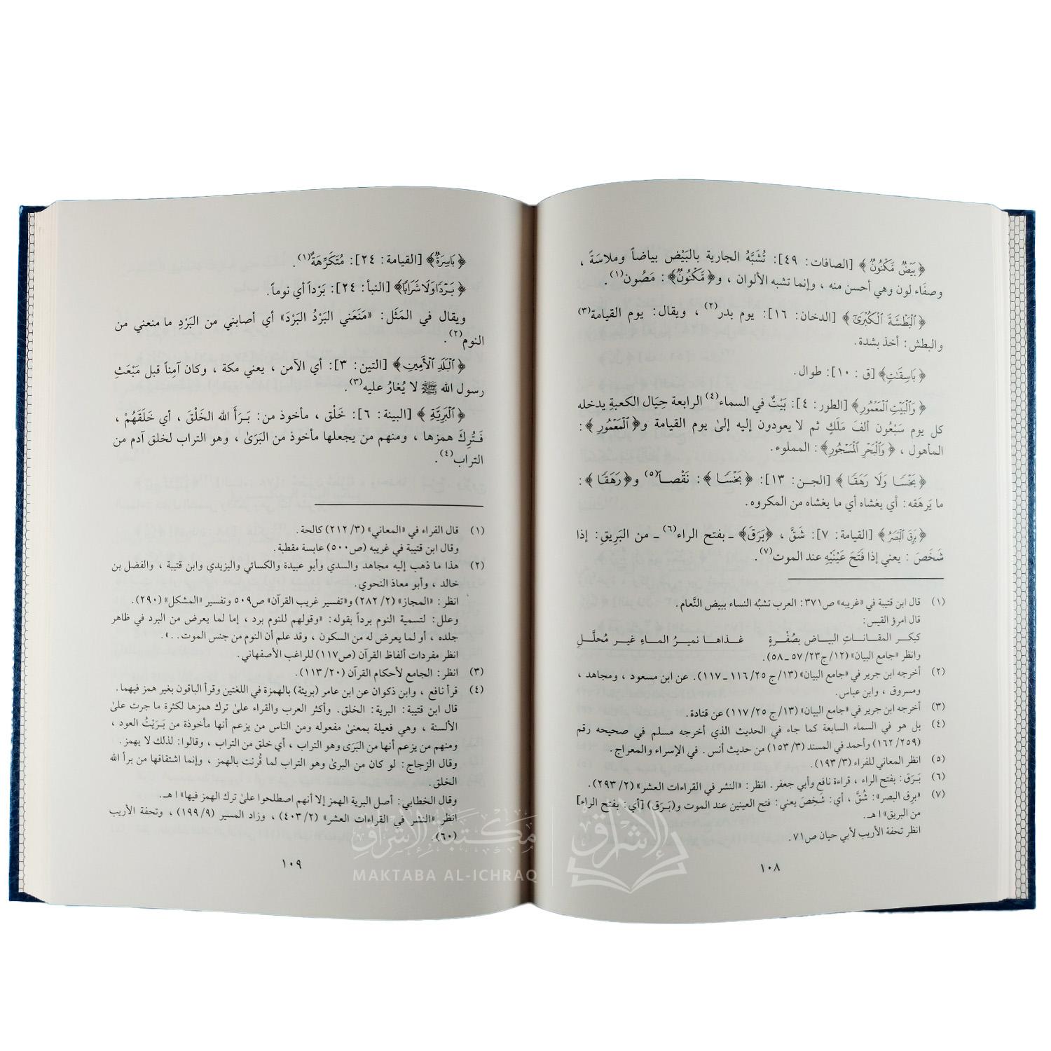 تفسير غريب القرآن - الصورة 3