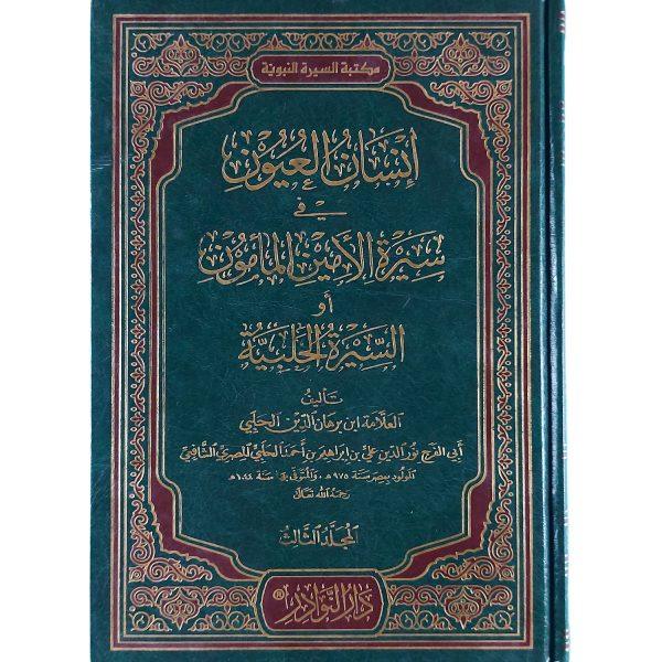 ⁦إنسان العيون في السيرة لأمين المأمون⁩ - الصورة ⁦2⁩