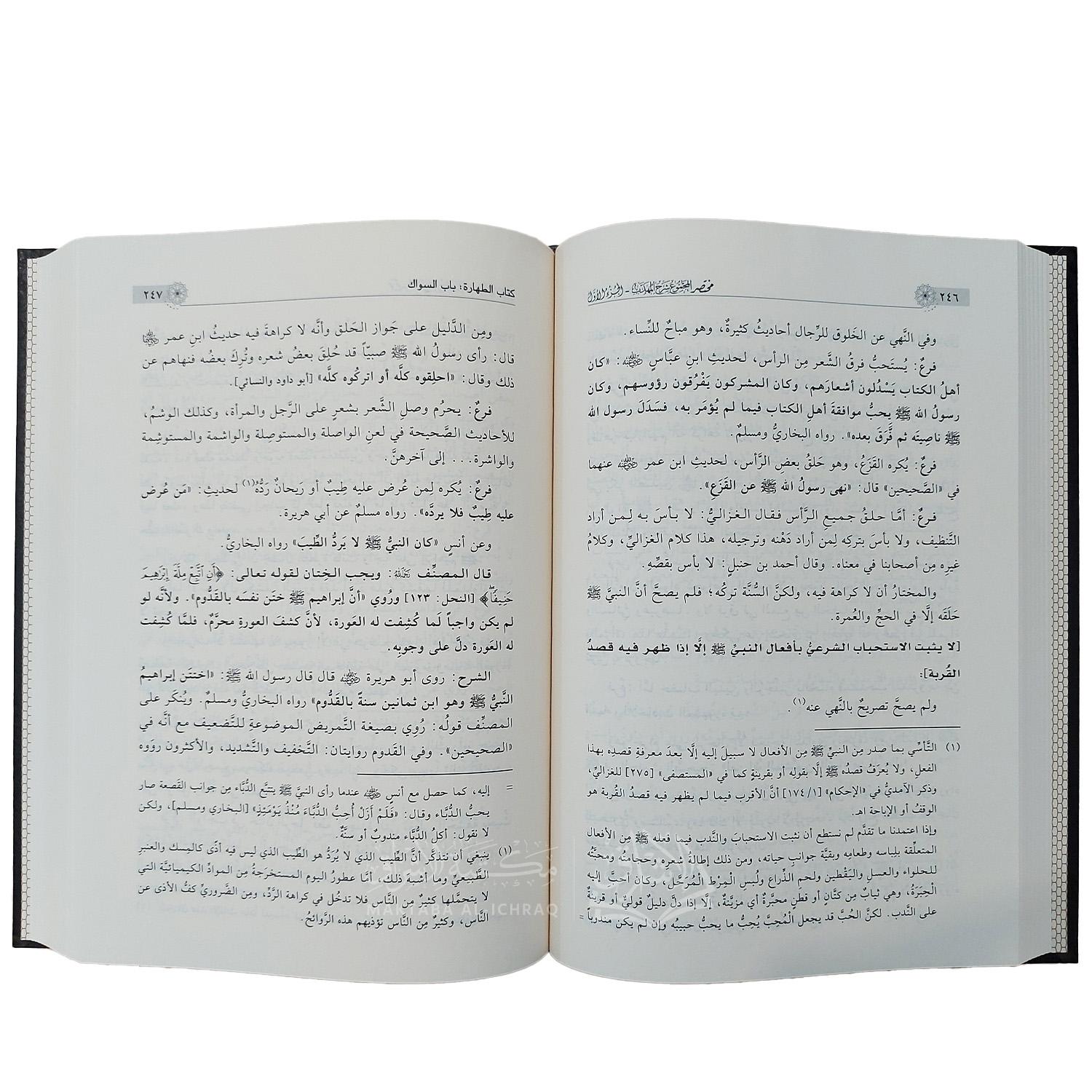 مختصر المجموع شرح المهذب – Image 4