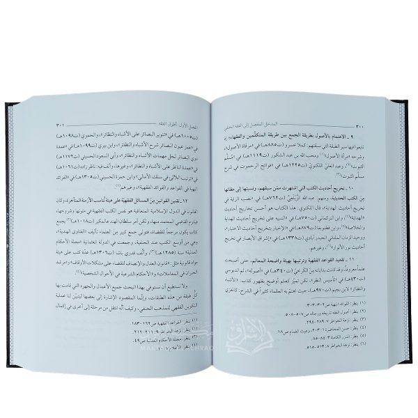 المدخل المفصل إلى الفقه الحنفي – Image 2