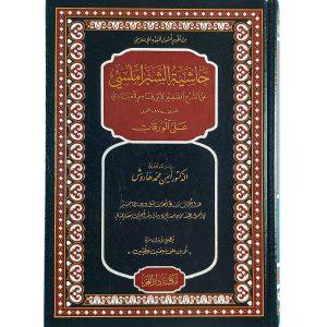 حاشية الشبراملسي على الشرح الصغير لابن قاسم العبادي على الورقات