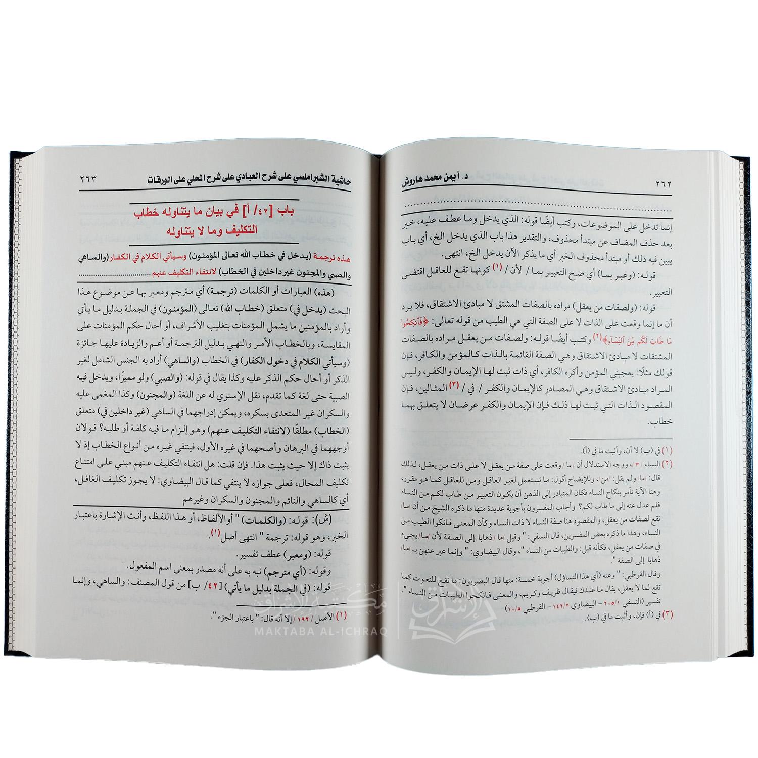 حاشية الشبراملسي على الشرح الصغير لابن قاسم العبادي على الورقات - الصورة 3