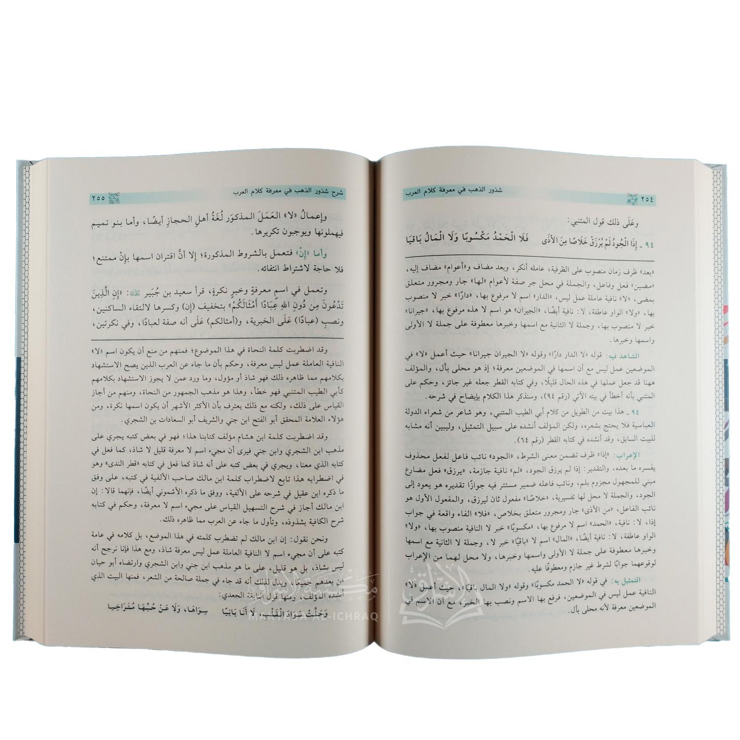 شرح شذور الذهب في معرفة كلام العرب – Image 2