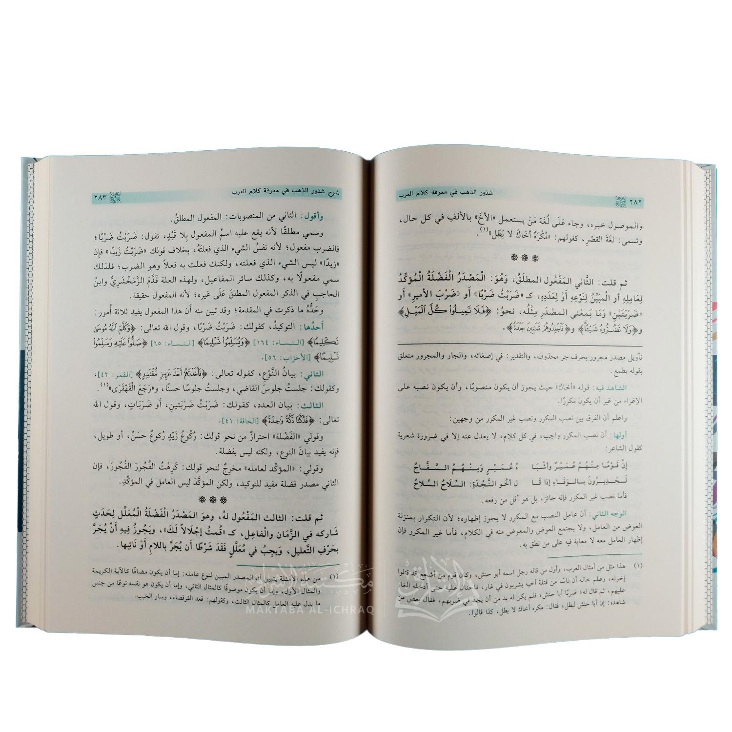 شرح شذور الذهب في معرفة كلام العرب – Image 3