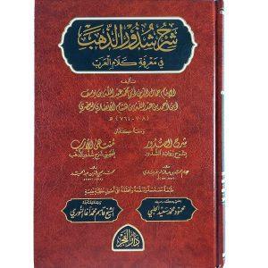 شرح شذور الذهب في معرفة كلام العرب