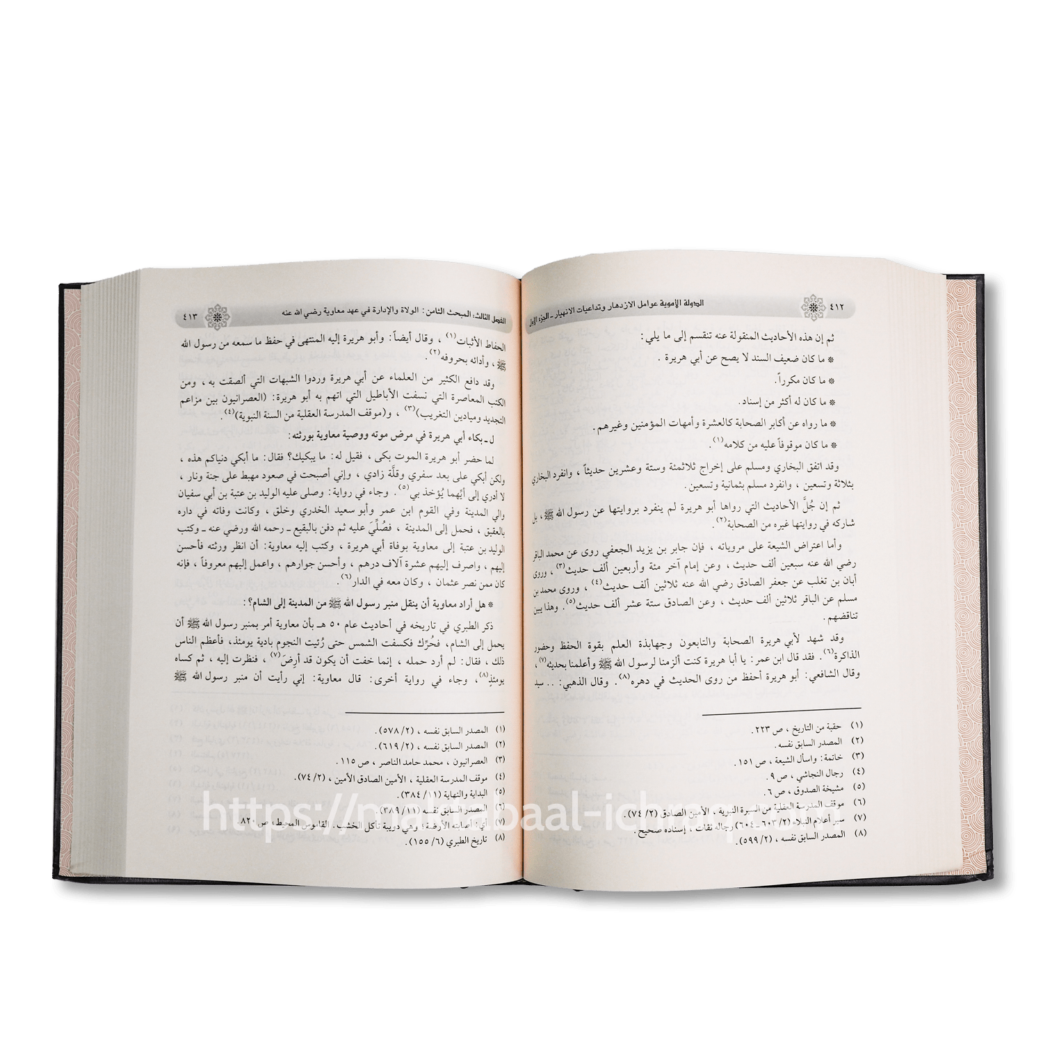 الدولة الأموية - عوامل الازدهار وتداعيات الانهيار - الصورة 2