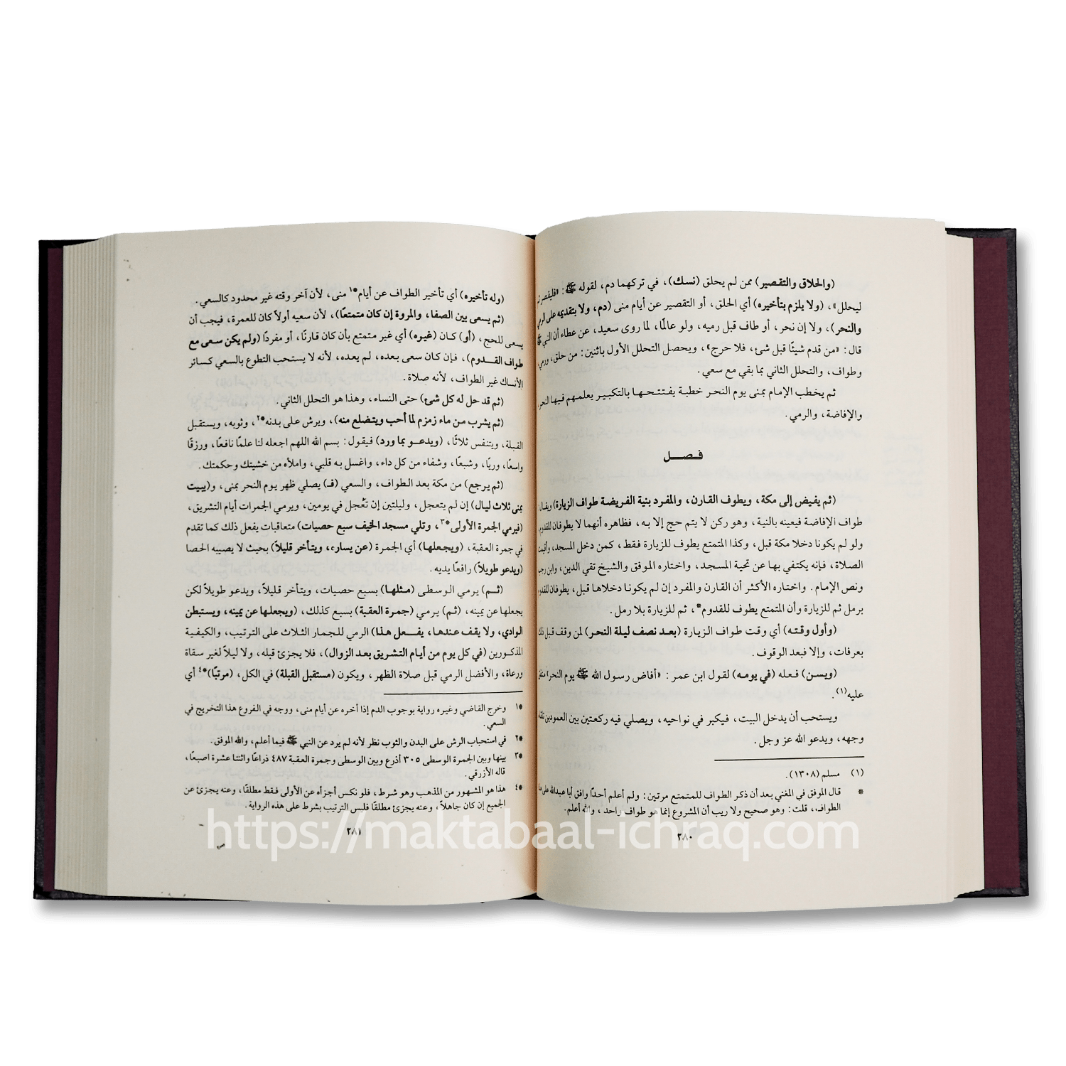 الروض المربع بشرح زاد المستقنع مع حاشية العلامة العثيمين - الصورة 2