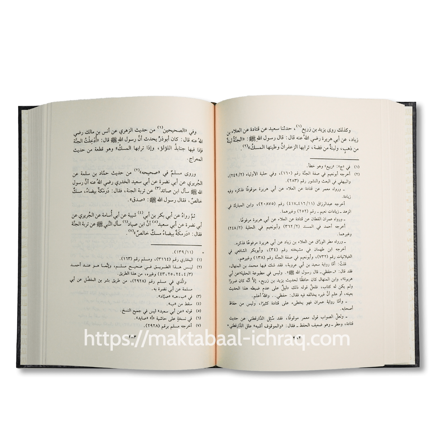 حادي الأرواح إلى بلاد الأفراح – Image 3