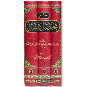 صورة غلاف كتاب شرح مختصر الروضة للإمام الطوفي، يشرح مختصر الروضة في أصول الفقه ويبين مسائله ودلائله