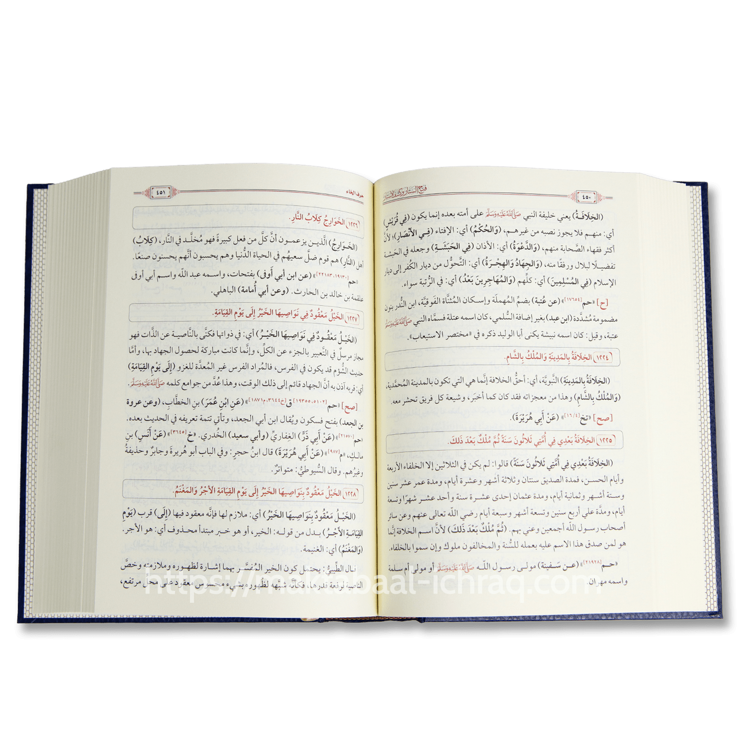 فتح الستار وكشف الأستار عن نور الأخيار وروض الأبرار - الصورة 2