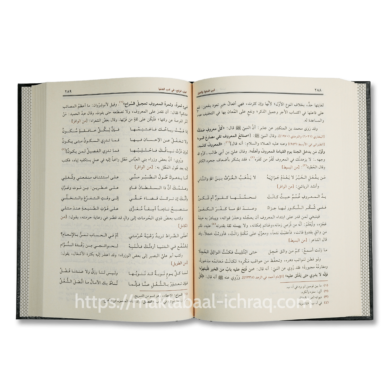 أدب الدنيا والدين – Image 2