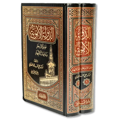 الدولة الأموية - عوامل الازدهار وتداعيات الانهيار