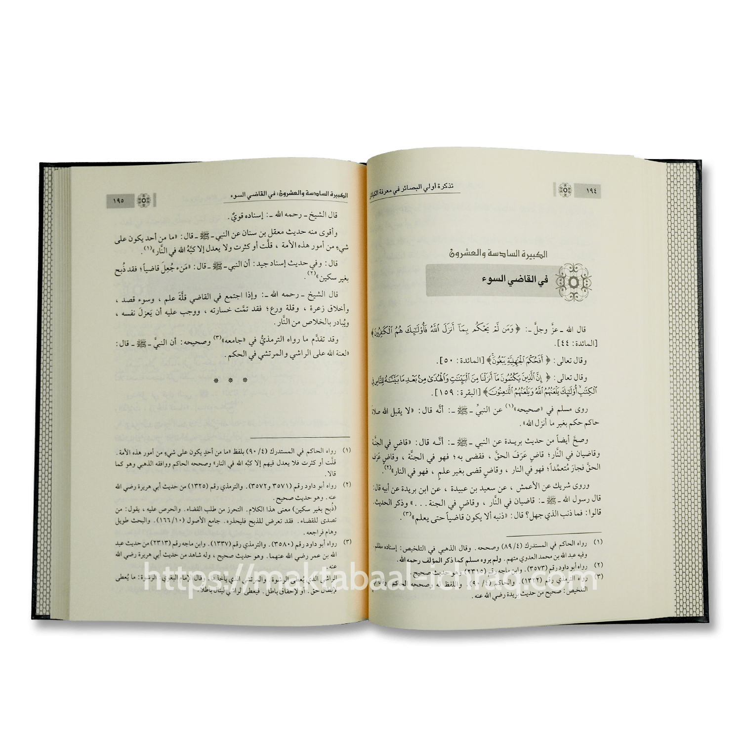 تذكرة أولي البصائر في معرفة الكبائر – Image 2