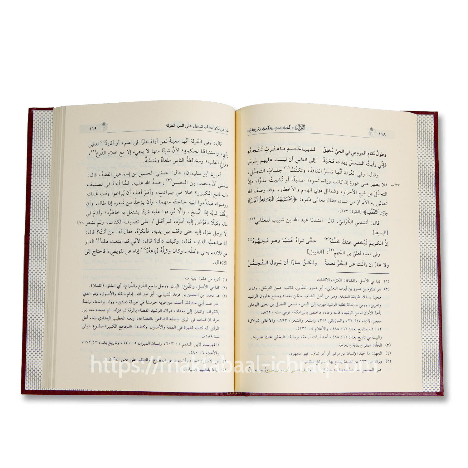 العزلة - الصورة 2