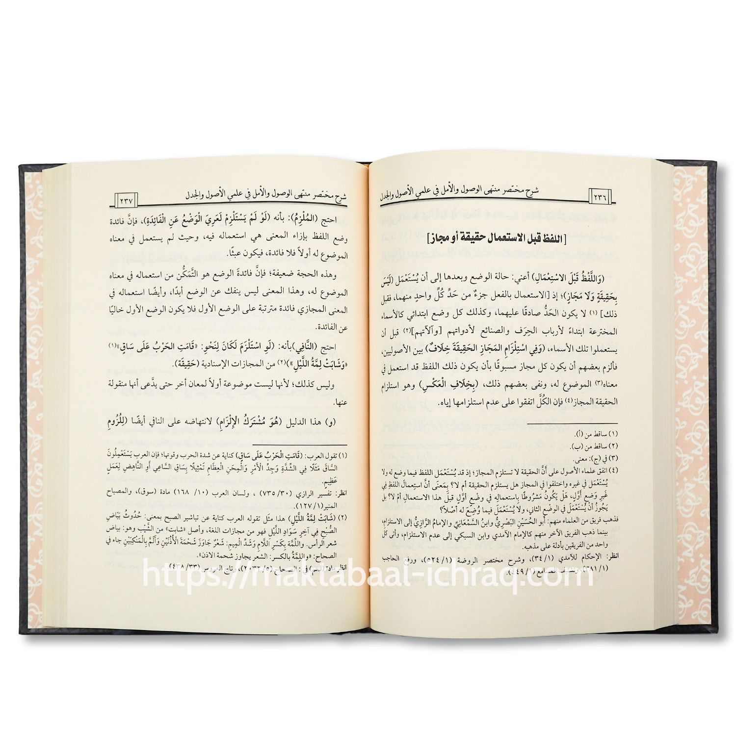 شرح مختصر منتهى الوصول والأمل - الصورة 4